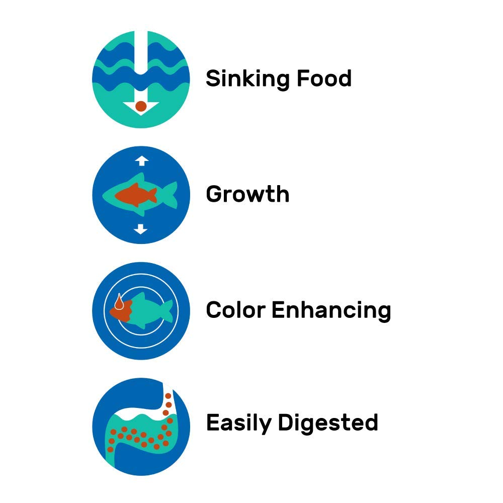 Hikari Seaweed Extreme wafers soften rapidly once introduced to water for quick grazing
