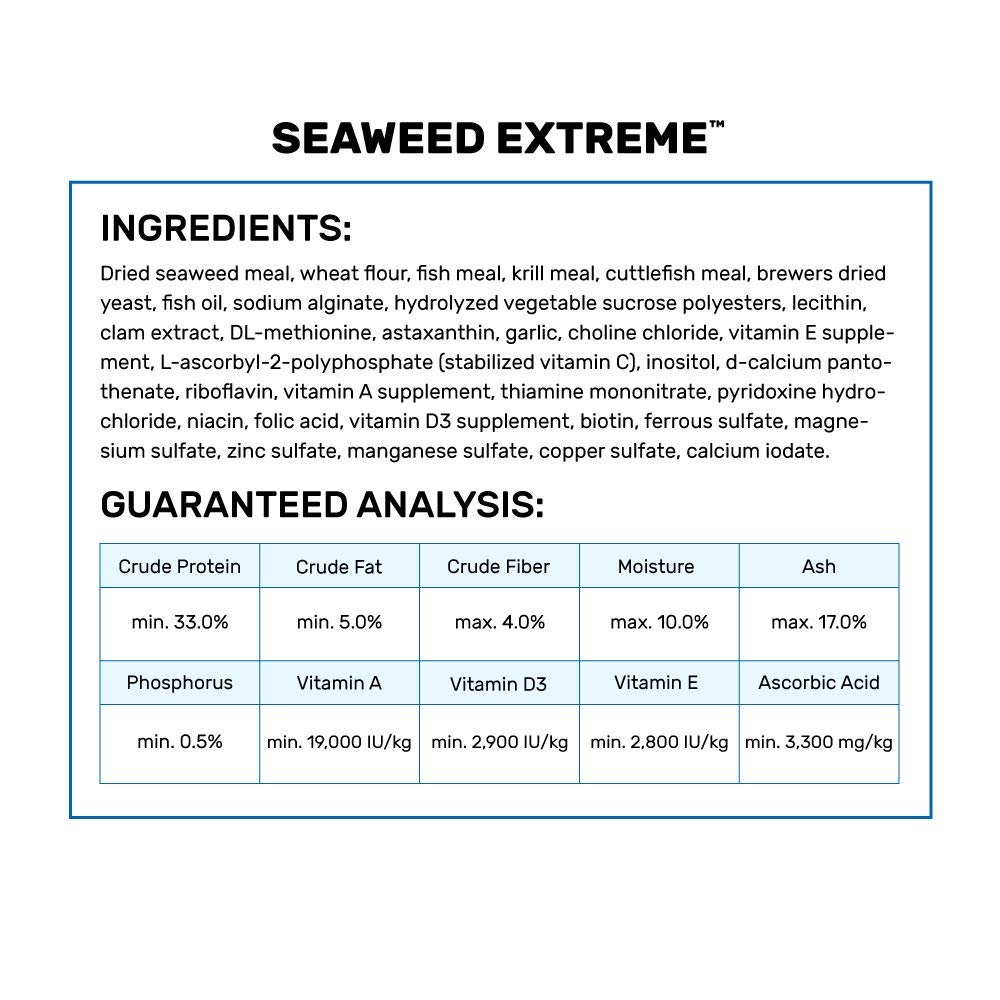 Hikari Seaweed Extreme eases transition from Nori algae in community tanks