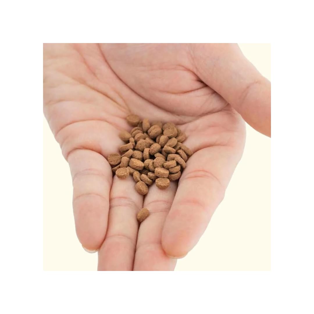 Hikari Sinking Carnivore Pellets 74 g pack convenient feeding