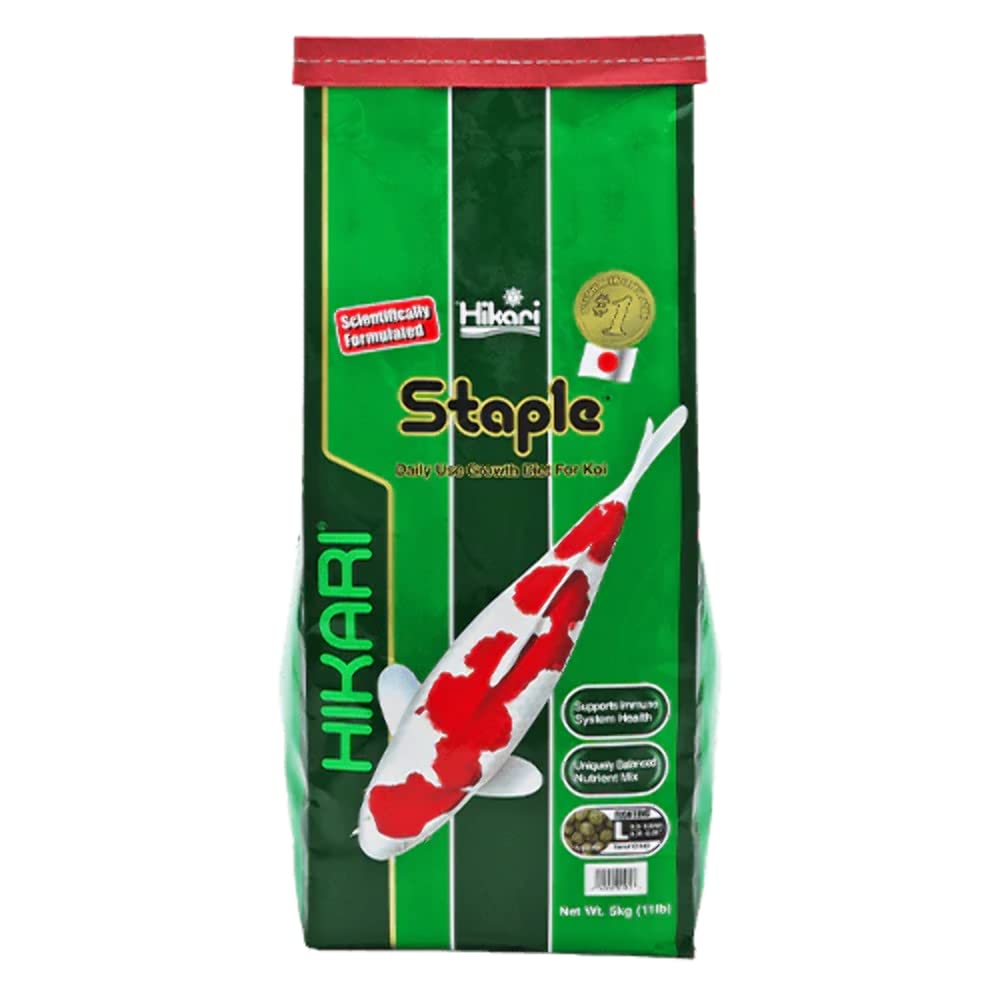 Hikari staple floating pellets in a koi bottle, enabling easy portion control and minimal waste.