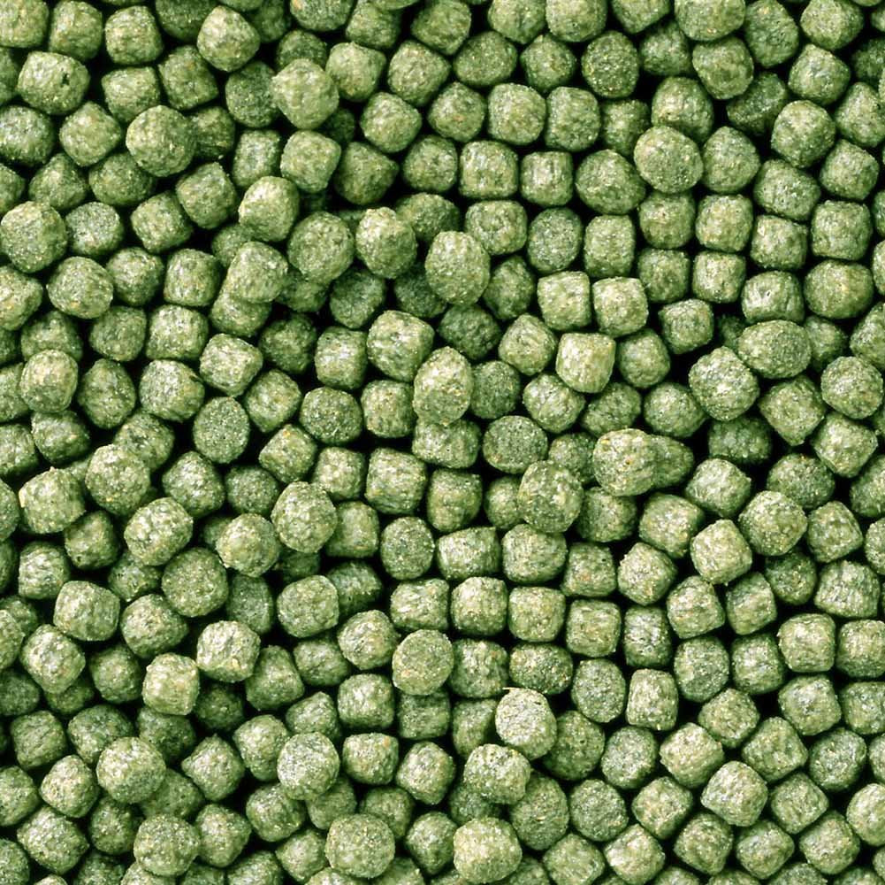 Hikari Staple Koi Food mini pellets close-up showing textured formula for growth support.