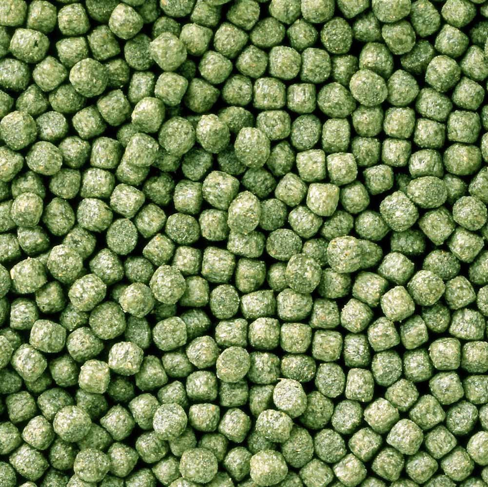 Hikari Staple Koi Food mini pellets close-up showing textured formula for growth support.