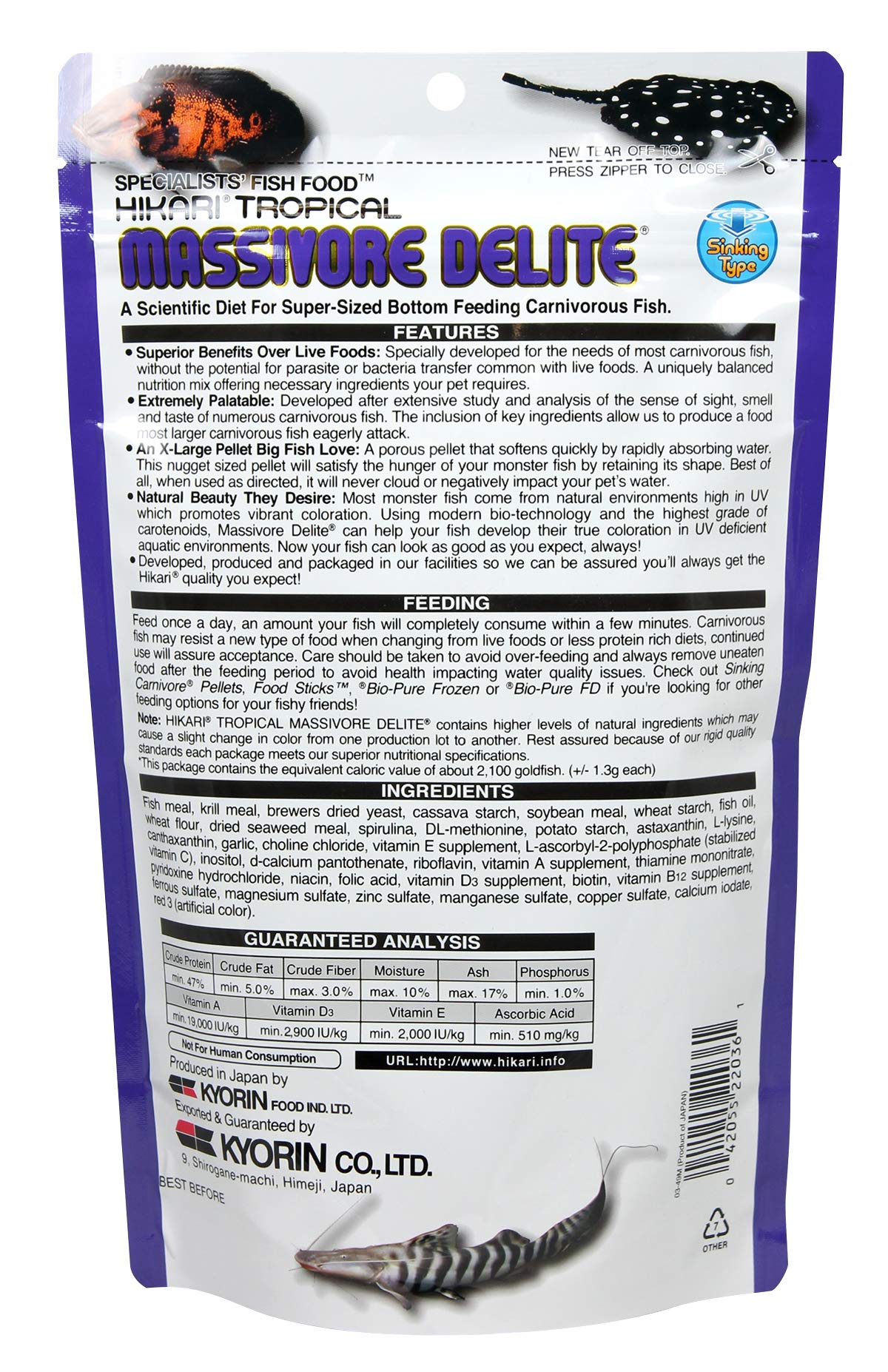Hikari Massivore Delite pellet absorbing water for easy feeding.