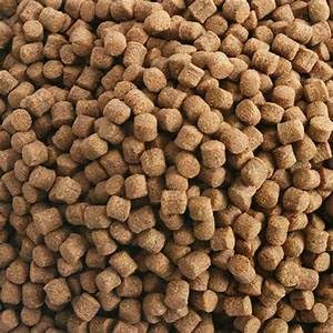 Hikari wheat germ pellets in a pet bowl ready for mealtime
