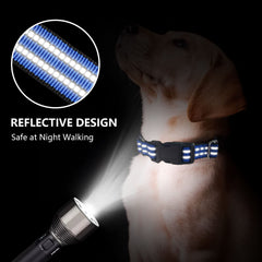 Hikiko collar quick-release buckle shown for easy emergency removal