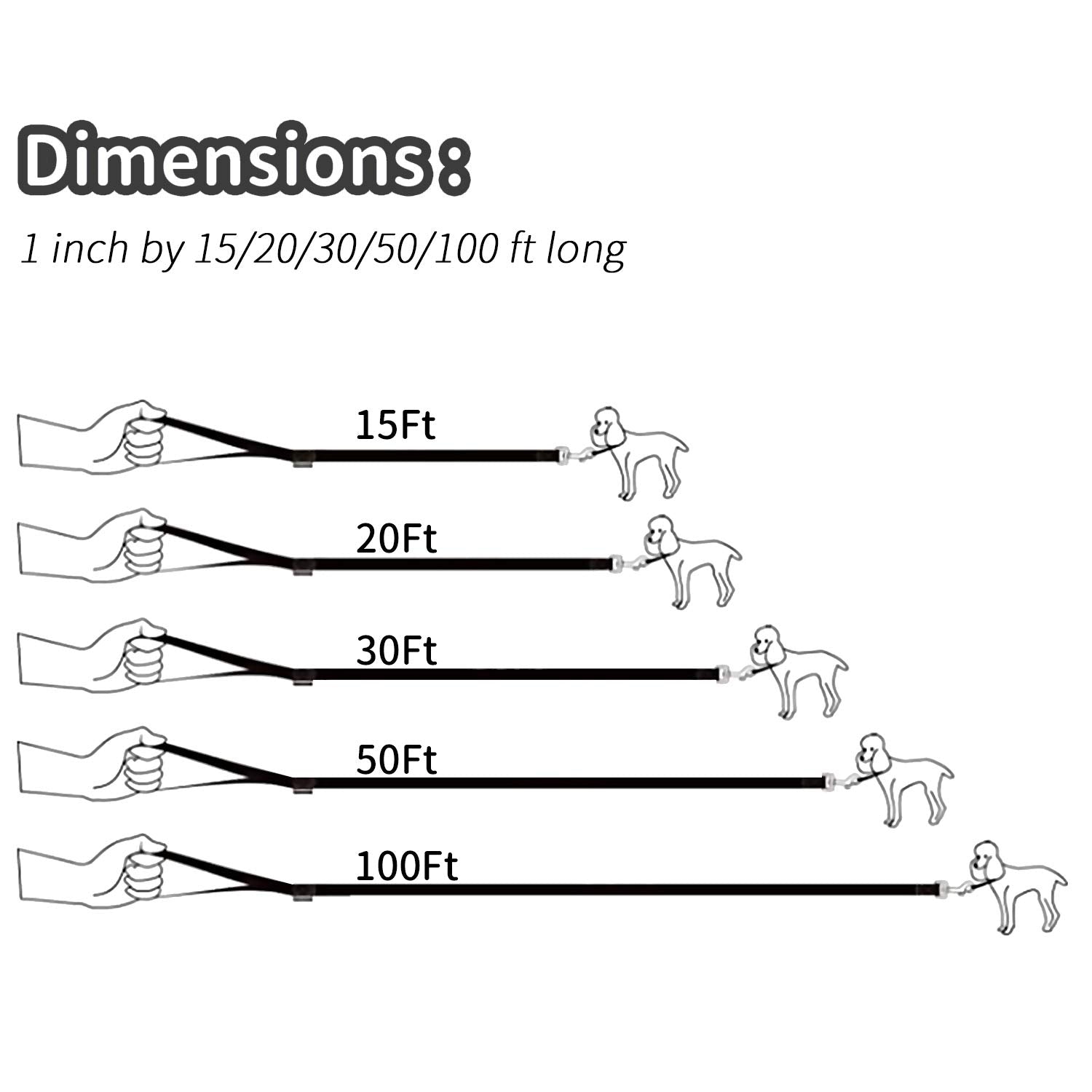 Hi Kiss hikiss long dog leash 100ft stretch enables long-range control on open fields.