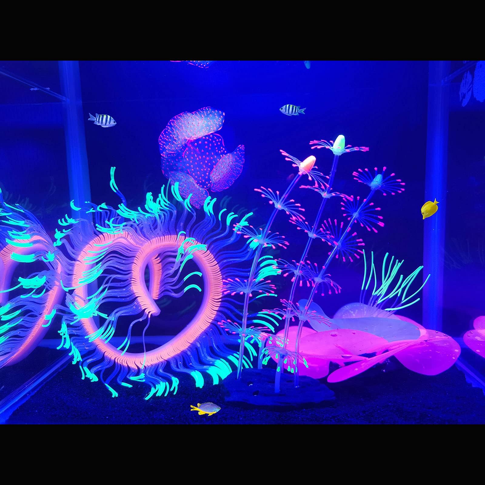 HIKTQIW glow ornaments brighten aquariums and become focal points.