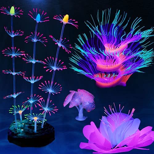 HIKTQIW glowing green sea anemone enhances nighttime ambiance under blue light.