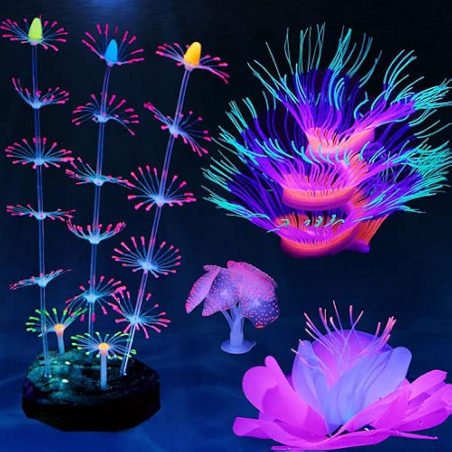 HIKTQIW glowing suction coral adds vivid color to your tank.
