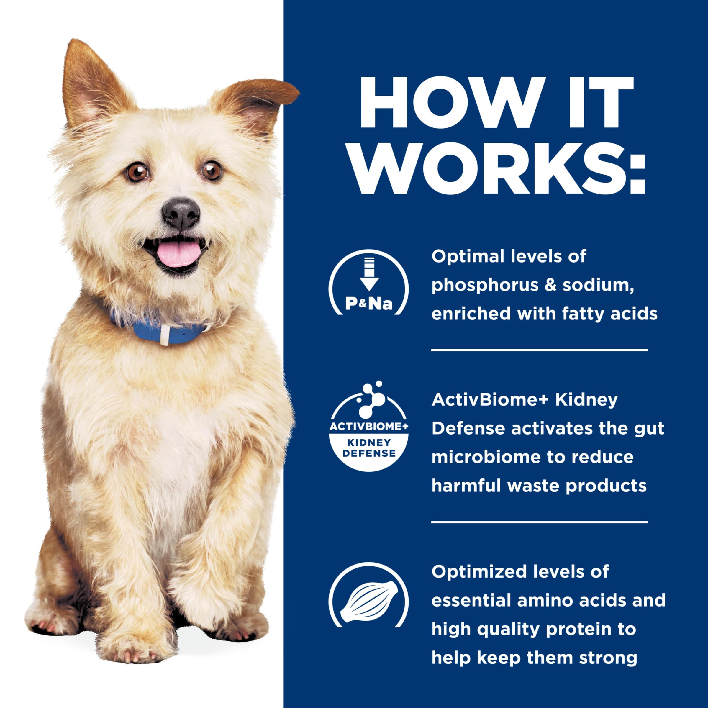 Hill's Prescription Diet k/d starter kit display with diverse meal options for dogs.