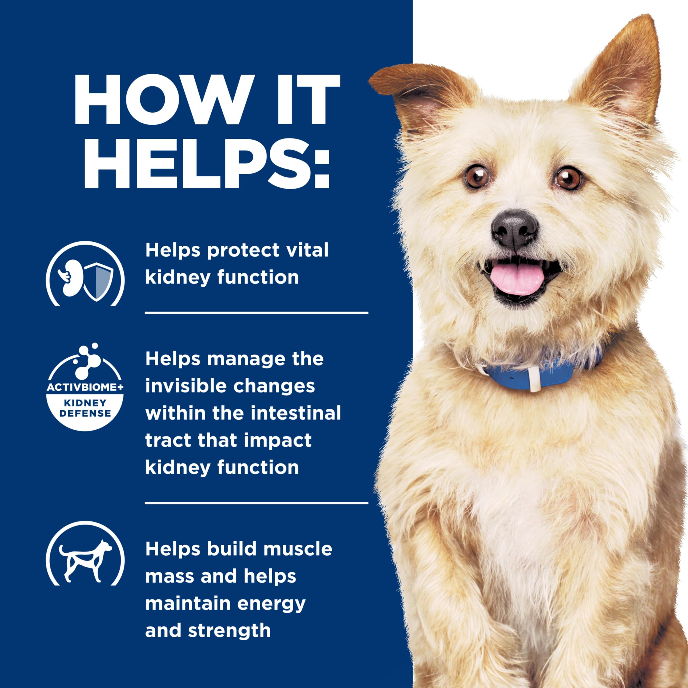 Hill's k/d variety pack with cans and bags for dogs.