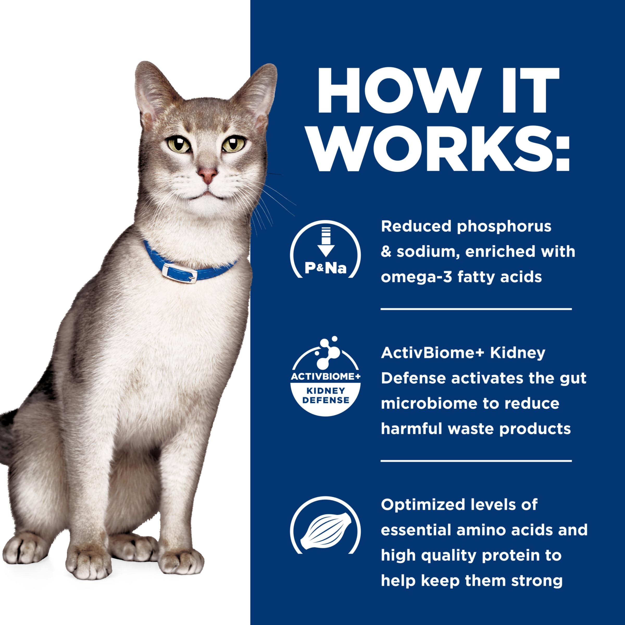 Veterinarian-recommended Hill's Prescription Diet k/d for kidney care