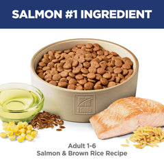 Hill's Science Diet kibble close-up highlighting texture and palatability for dogs