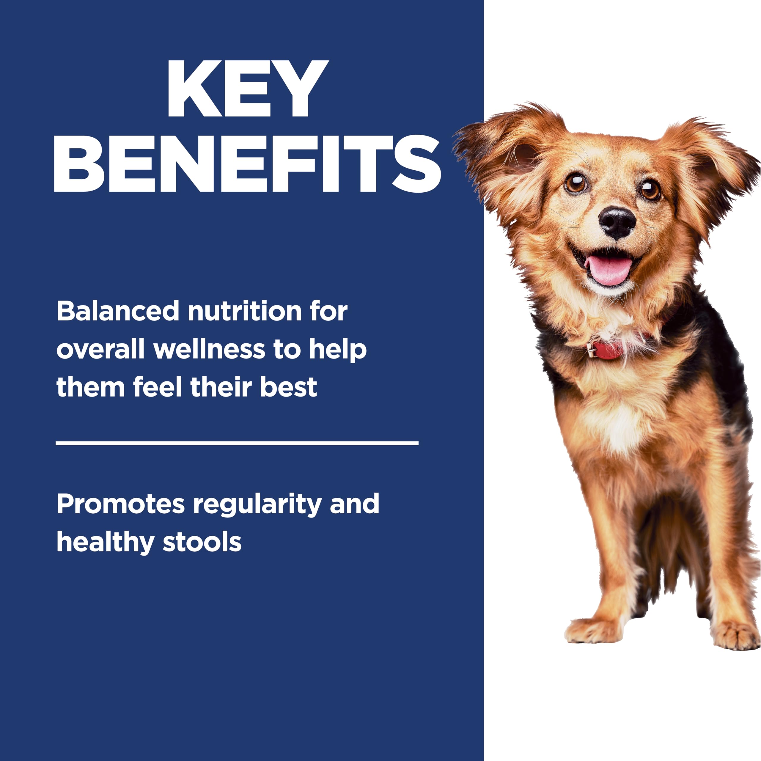 Hill's Science Diet small dog bowl meal promotes wellness.