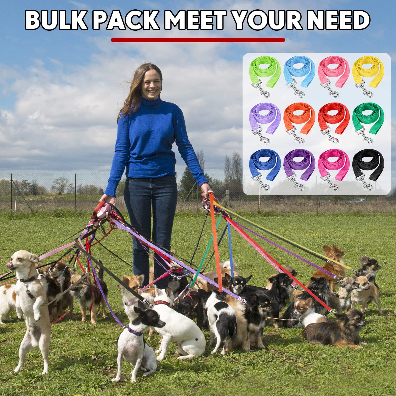 Hillban 5 ft puppy leash ideal for training and daily walks.