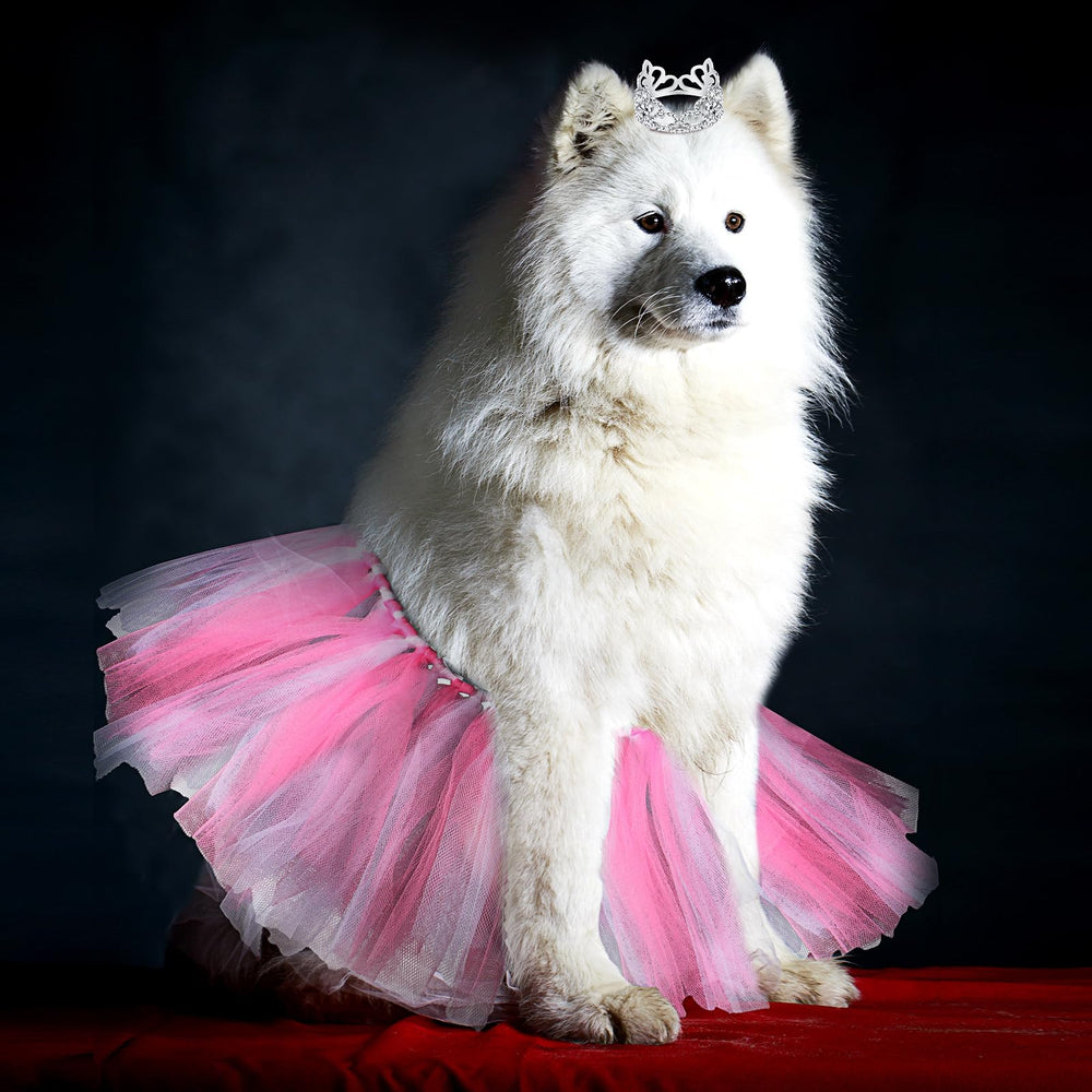 Hillban size measurement guide for Hillban dog outfit