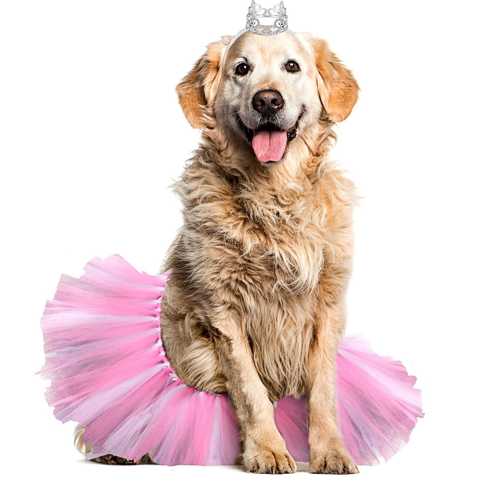 Hillban dog tutu skirt in rose red for charming photos