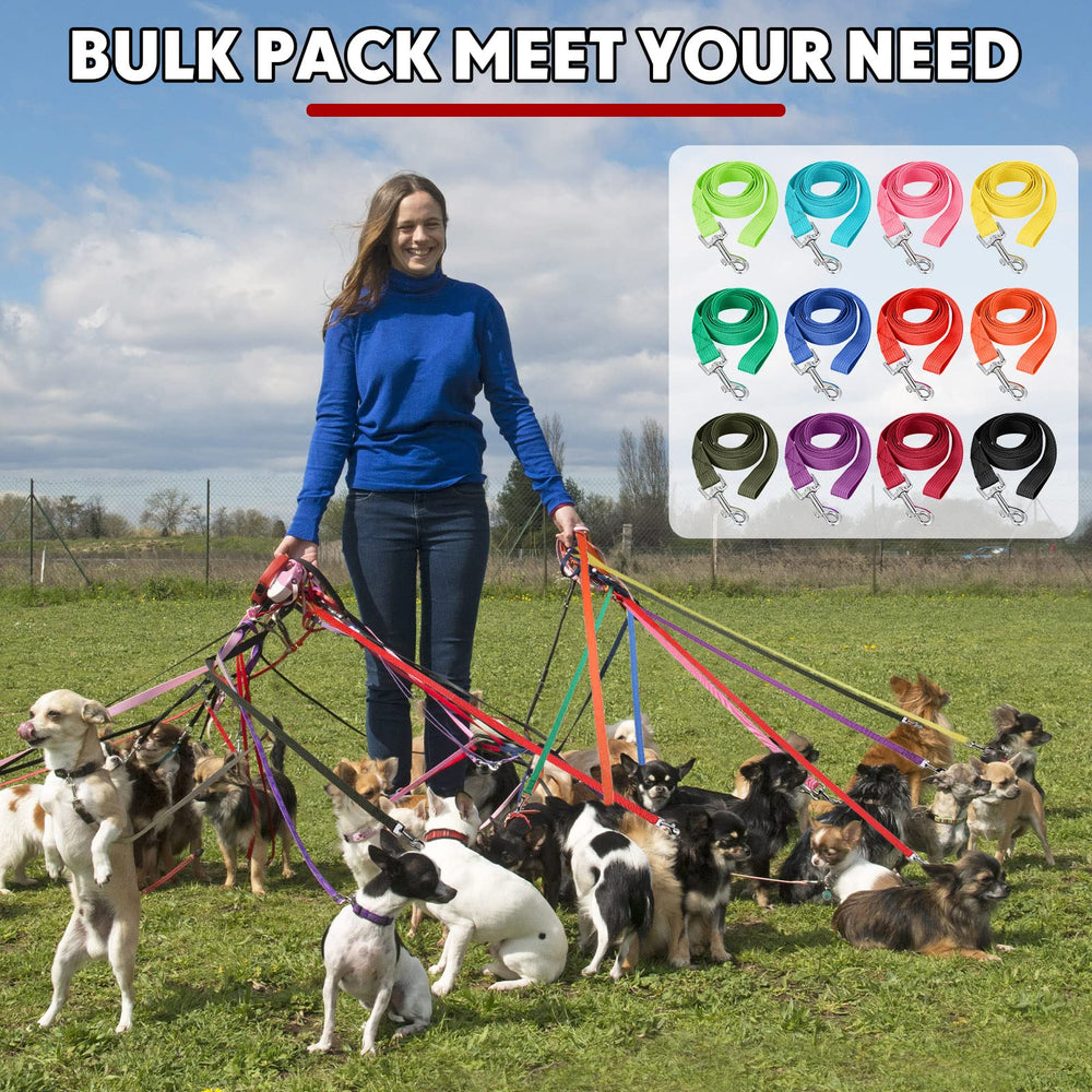 Hillban high-density nylon webbing with durable hardware.