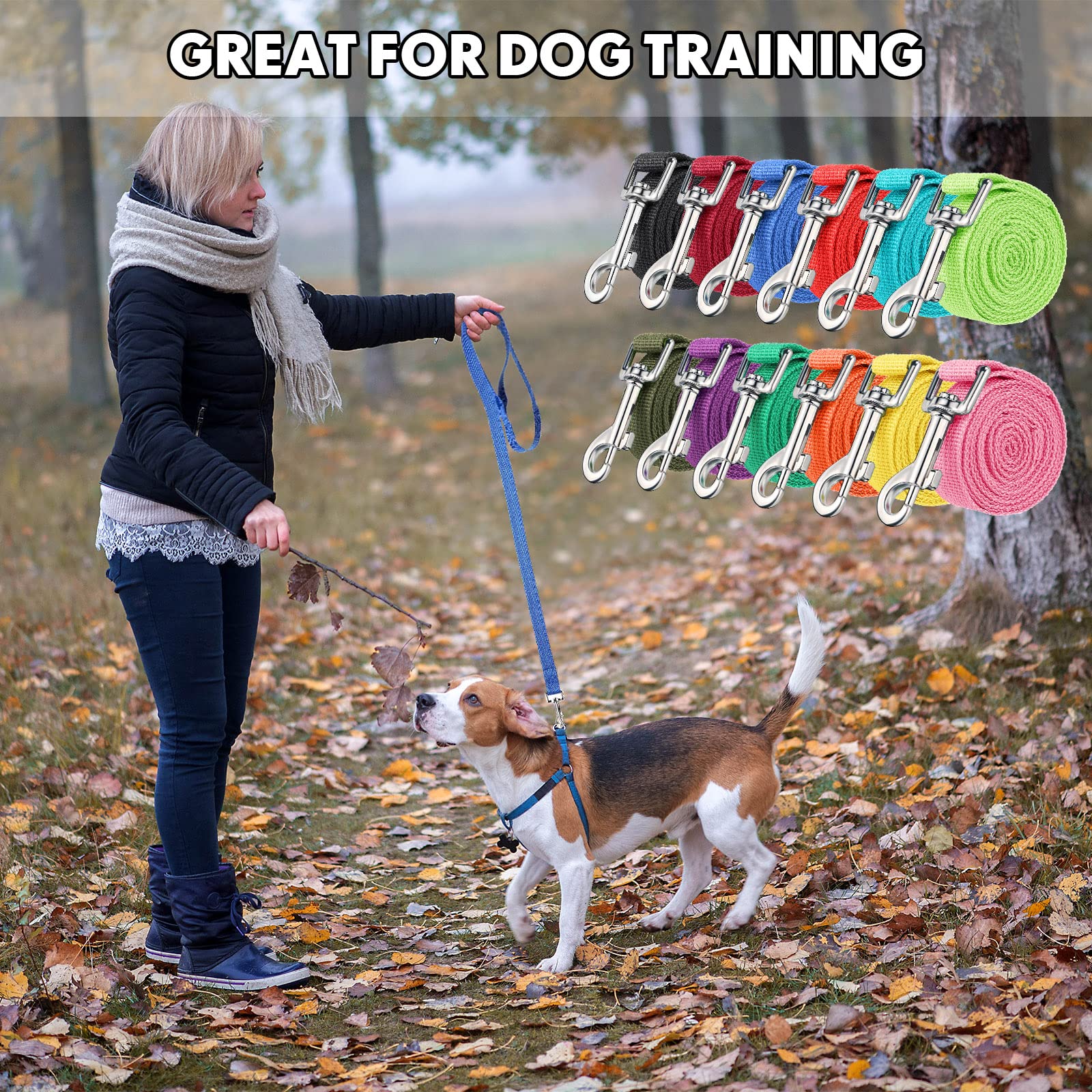 Hillban portable training leashes for home, park, and clinic use.
