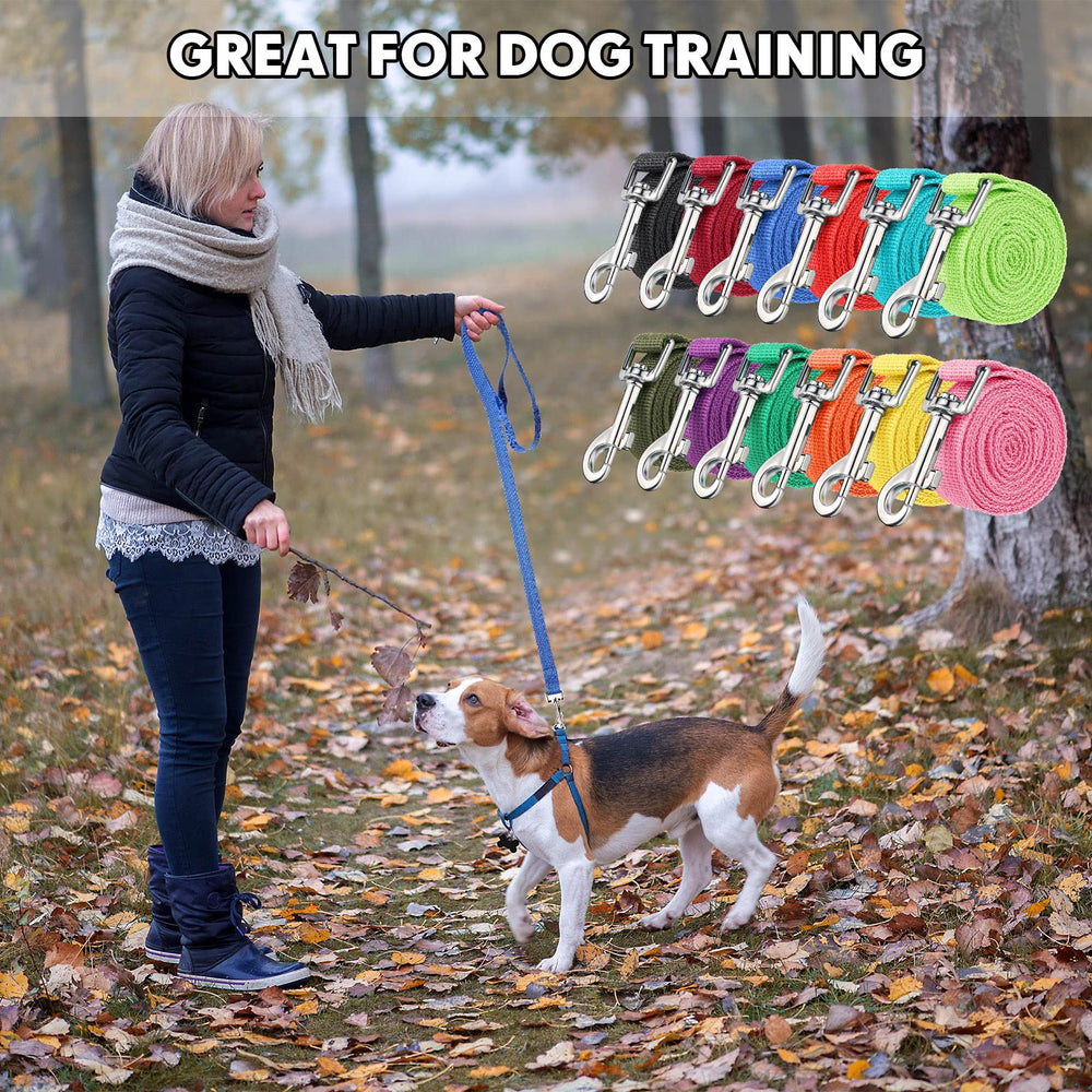 Hillban portable training leashes for home, park, and clinic use.