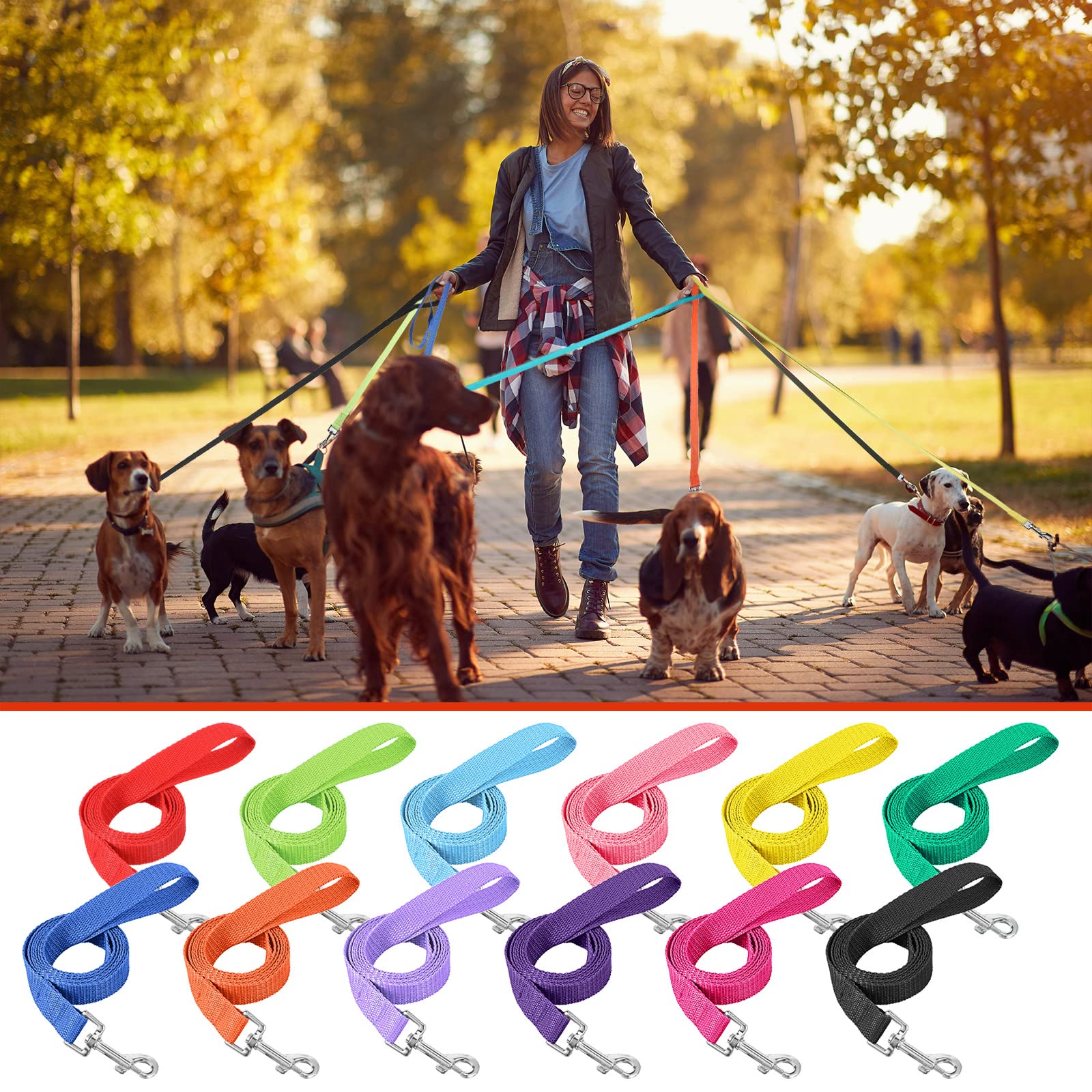 Hillban 12-color pack perfect for salons, clinics, and rescues.