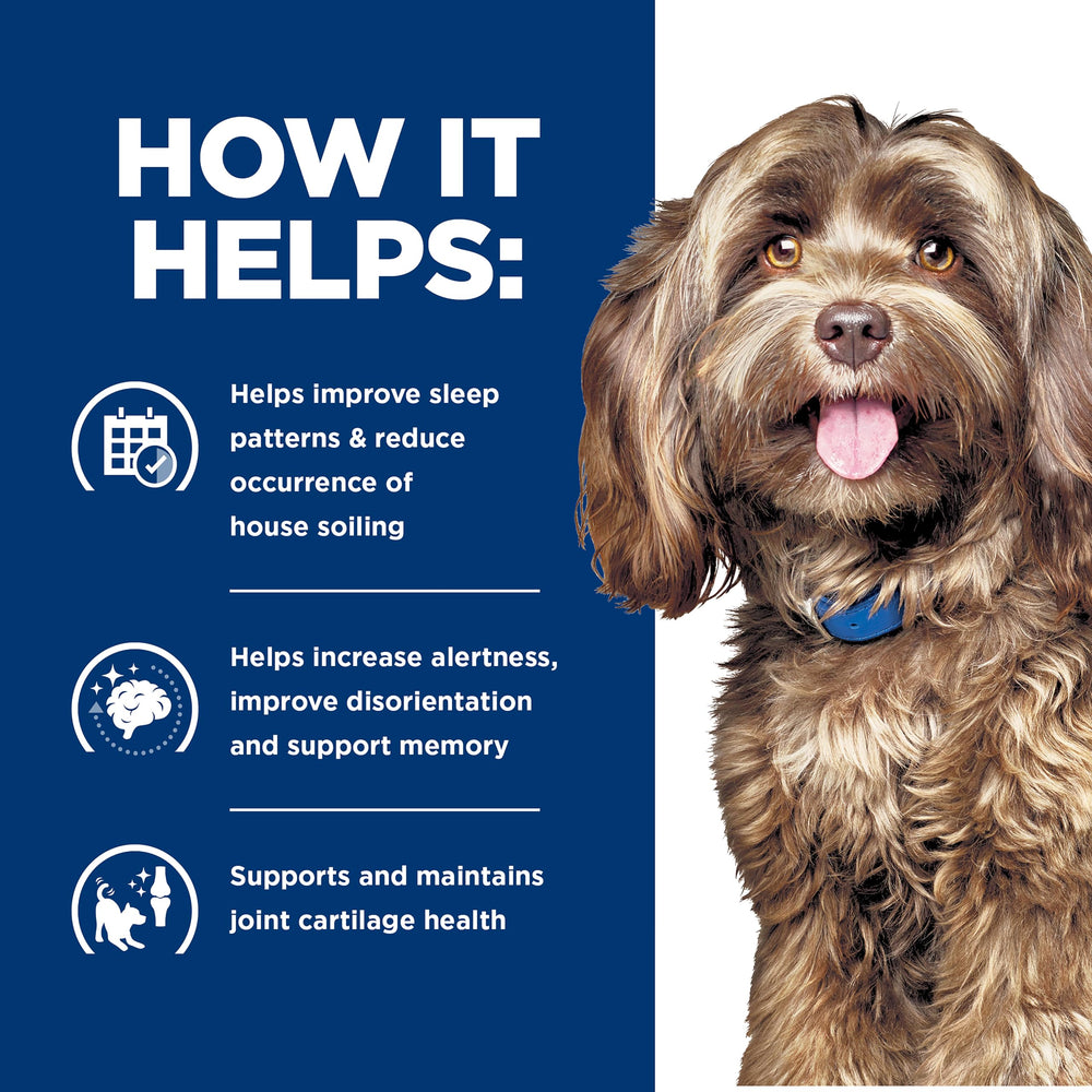 Serving bowl with Hills Brain Care JD kibble emphasizing portion-friendly feeding for joints