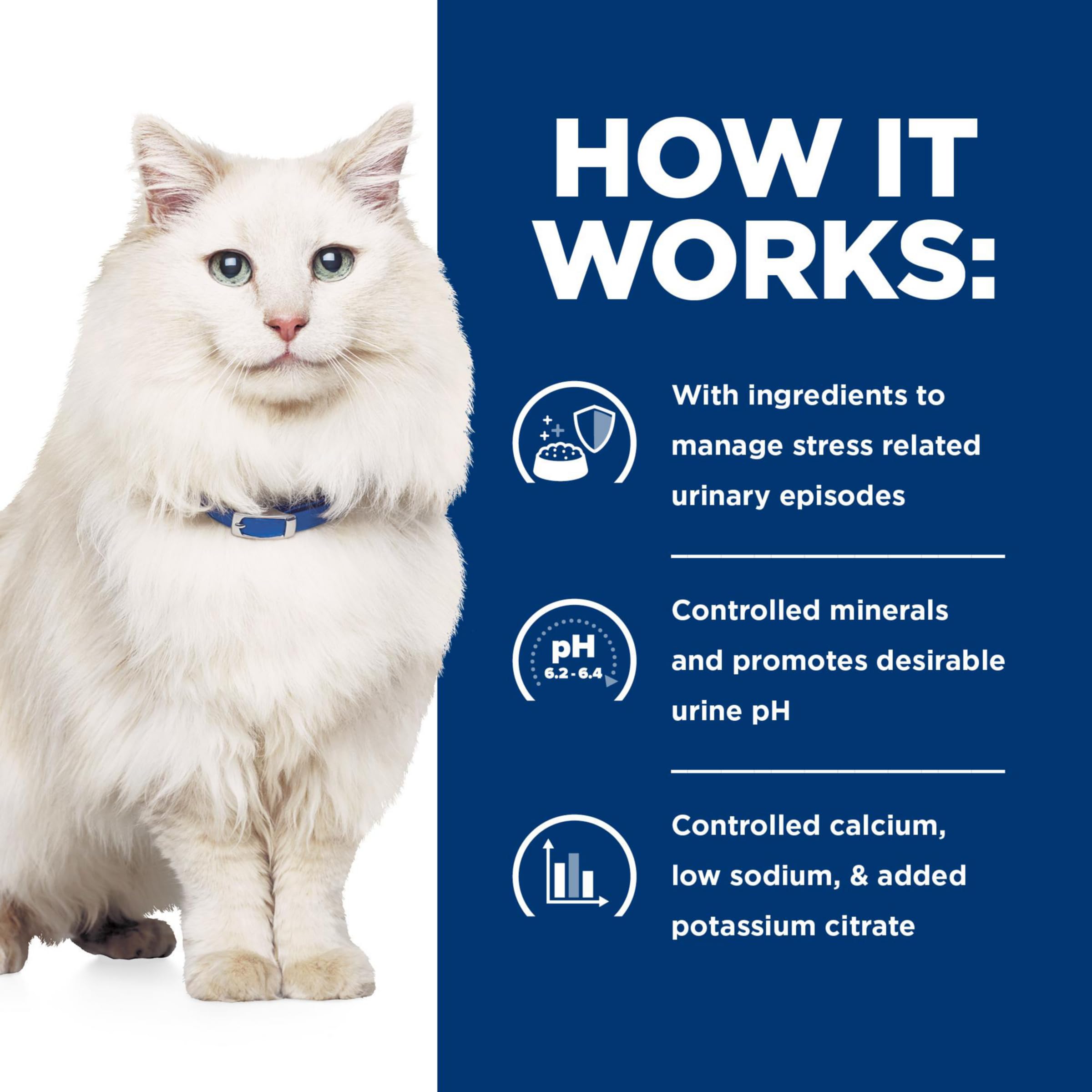 Hill's c/d Multicare Stress cat health illustration emphasizes urinary-friendly minerals.