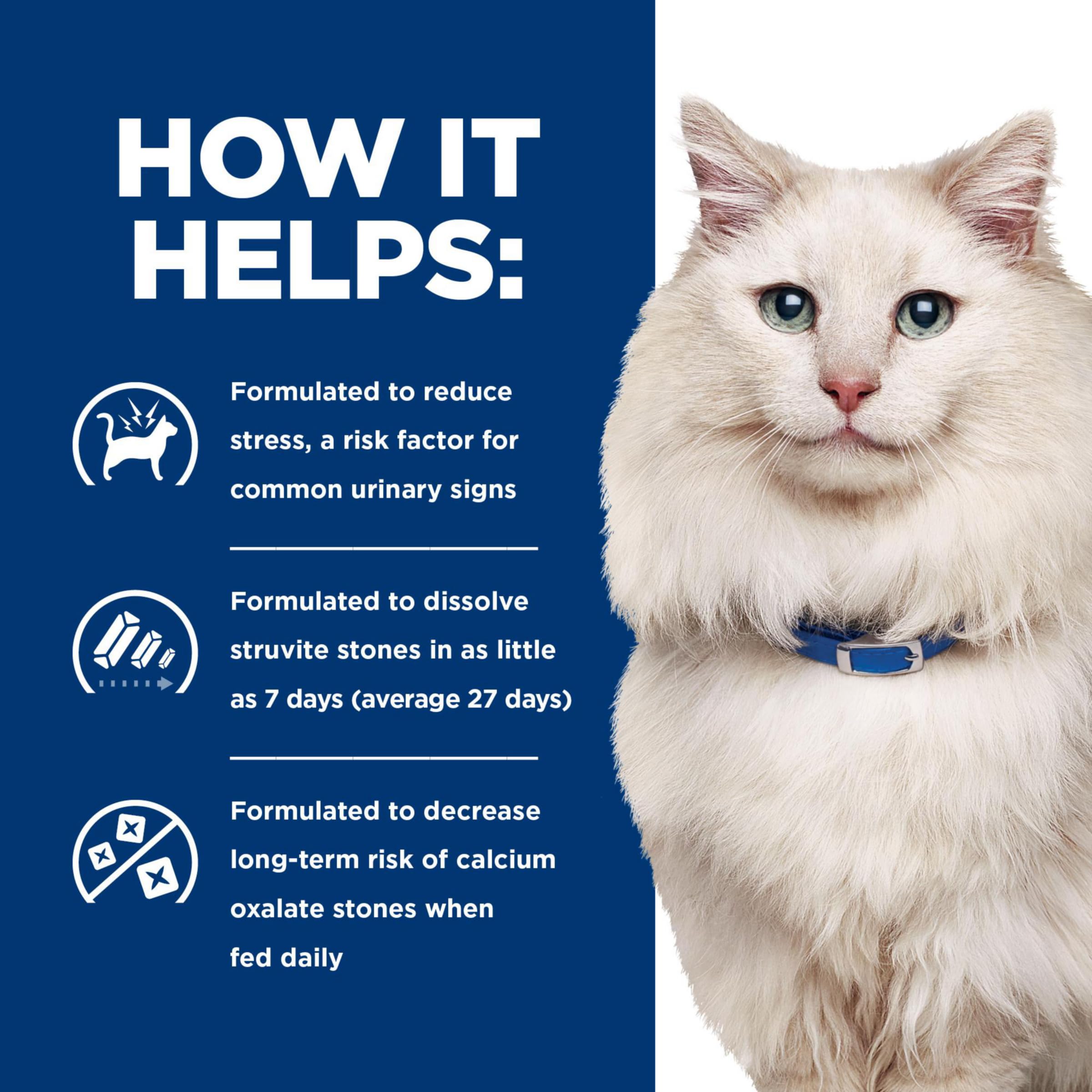 Hill's CD Multicare Urinary Care cat enjoying meal at home.