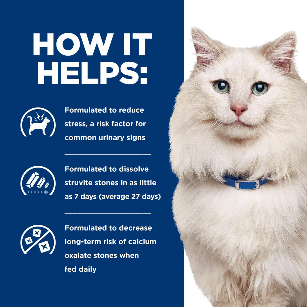 Hill's CD Multicare Urinary Care cat enjoying meal at home.