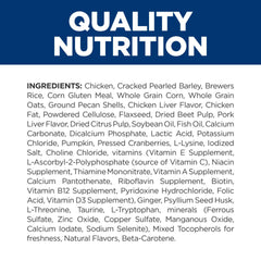 Dog eating Hill's GI Biome meal demonstrates palatable GI-friendly feeding