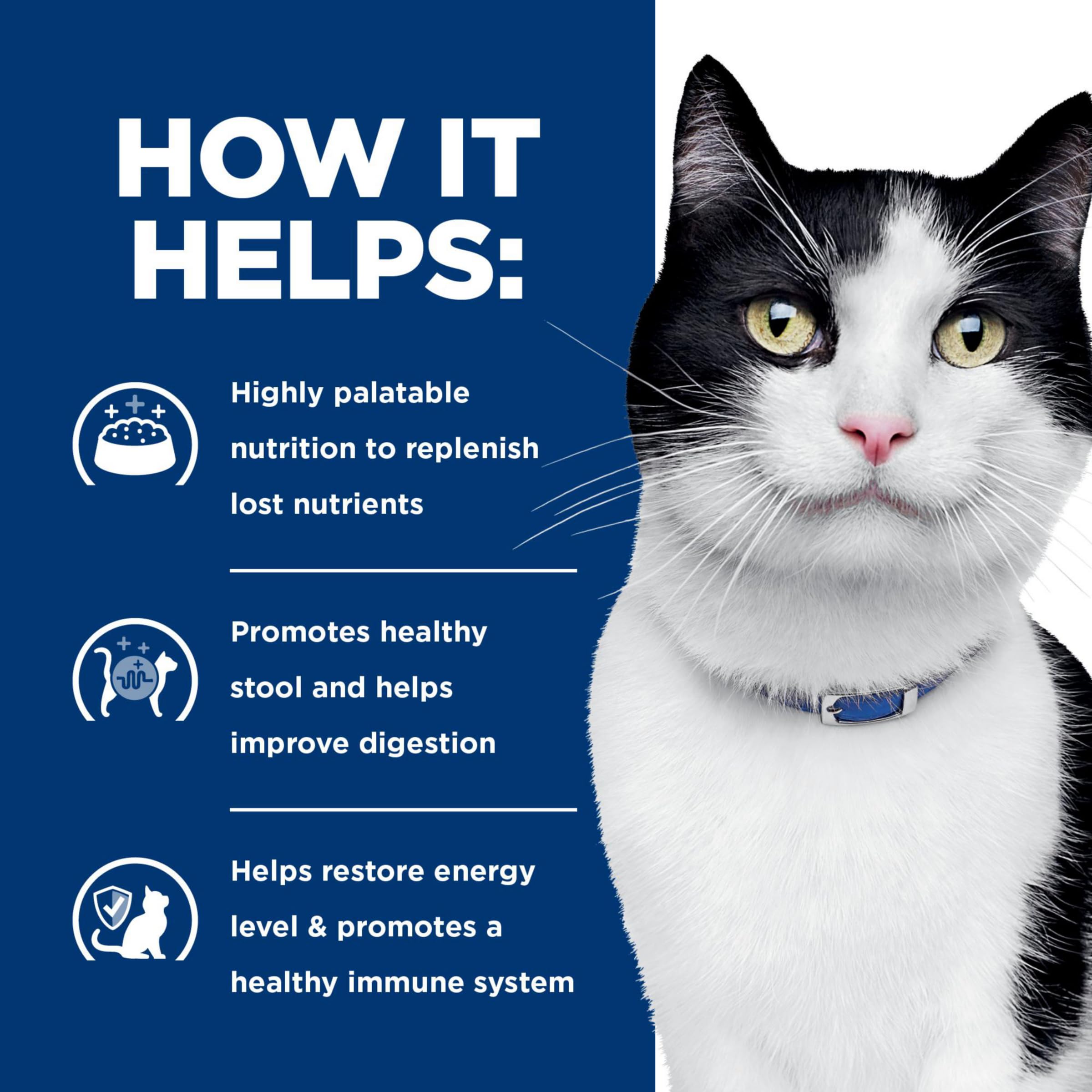 Antioxidants in Hill's i/d supporting immune health in cats.