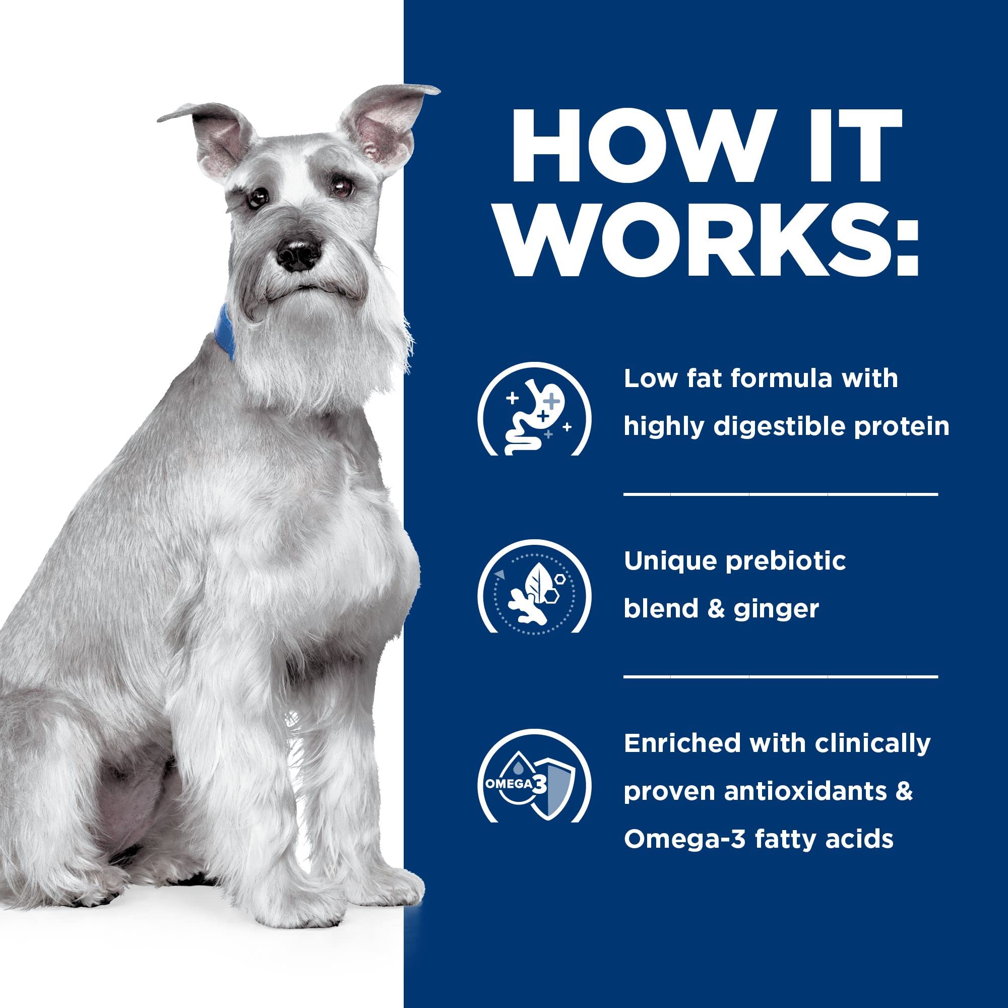 Hill's i/d Low Fat helps settling minor digestive upset with vet guidance