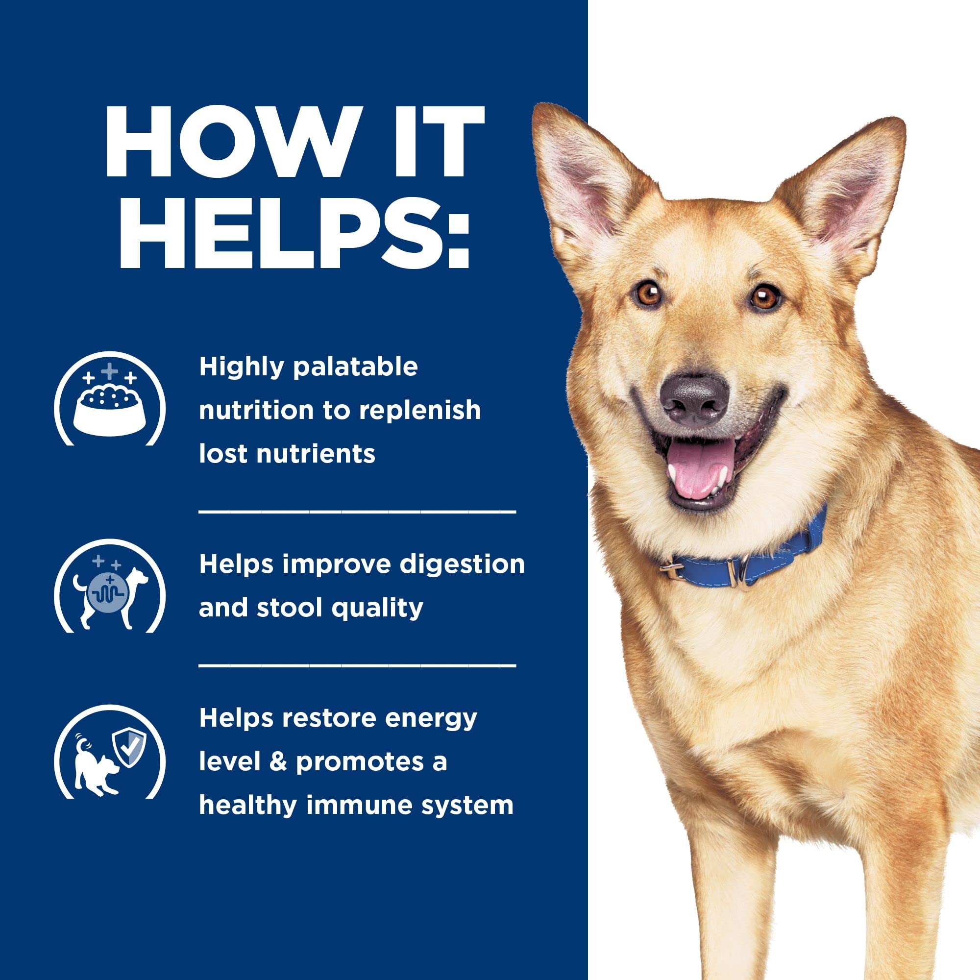 Hill's Prescription Diet i/d dog-eating scene demonstrates palatable texture for meals.