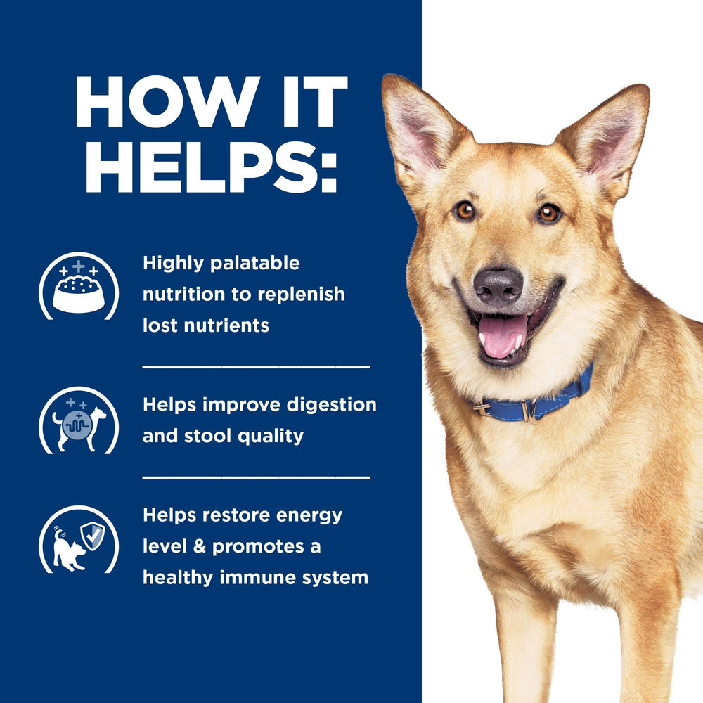 Hill's Prescription Diet i/d dog-eating scene demonstrates palatable texture for meals.