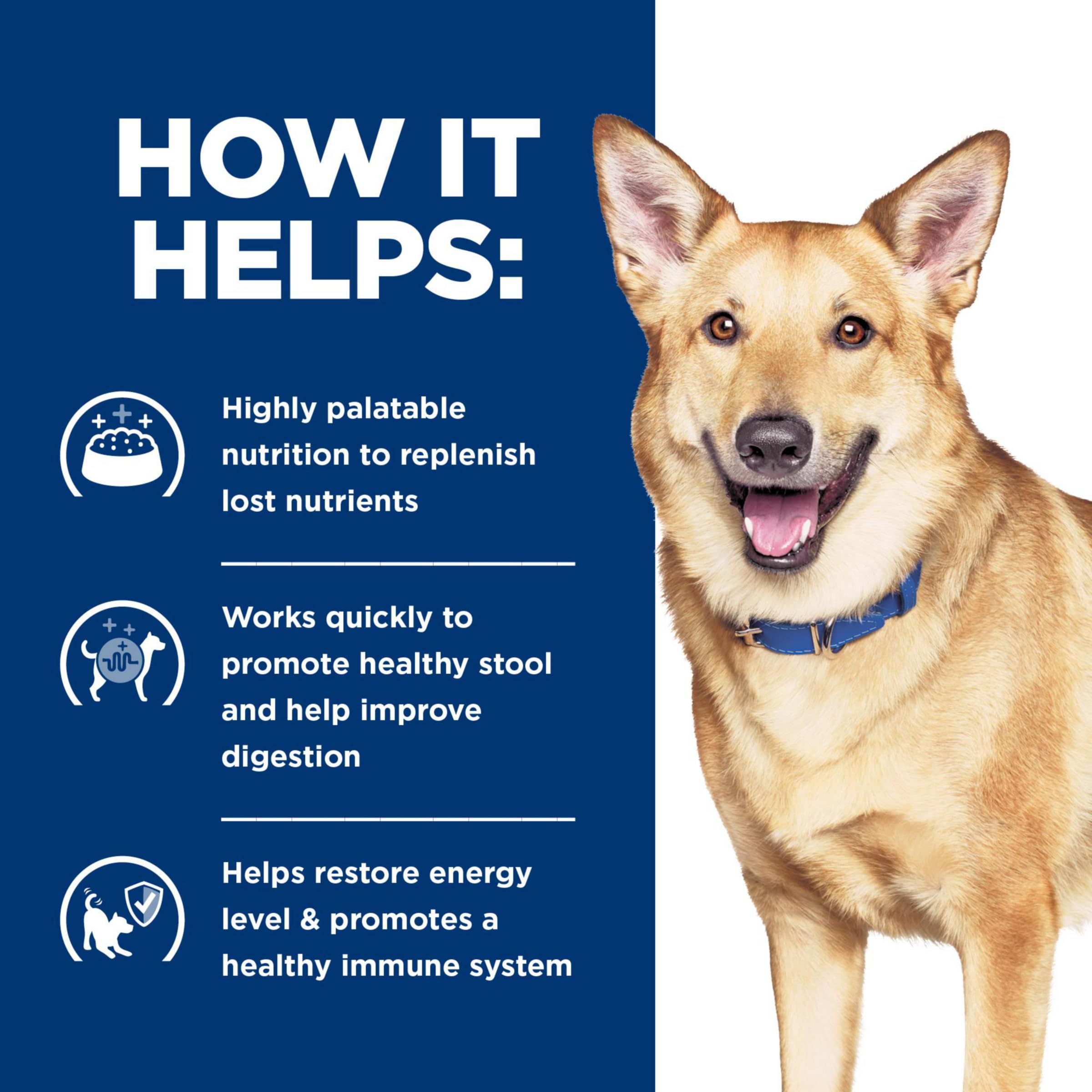 Hill's Prescription Diet i/d wet dog food turkey dog eating during mealtime
