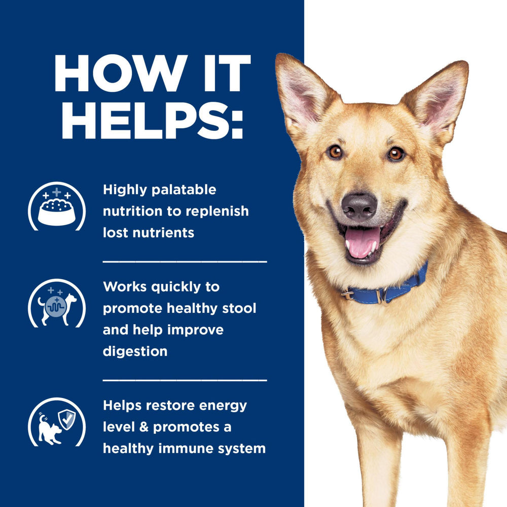 Hill's Prescription Diet i/d wet dog food turkey dog eating during mealtime