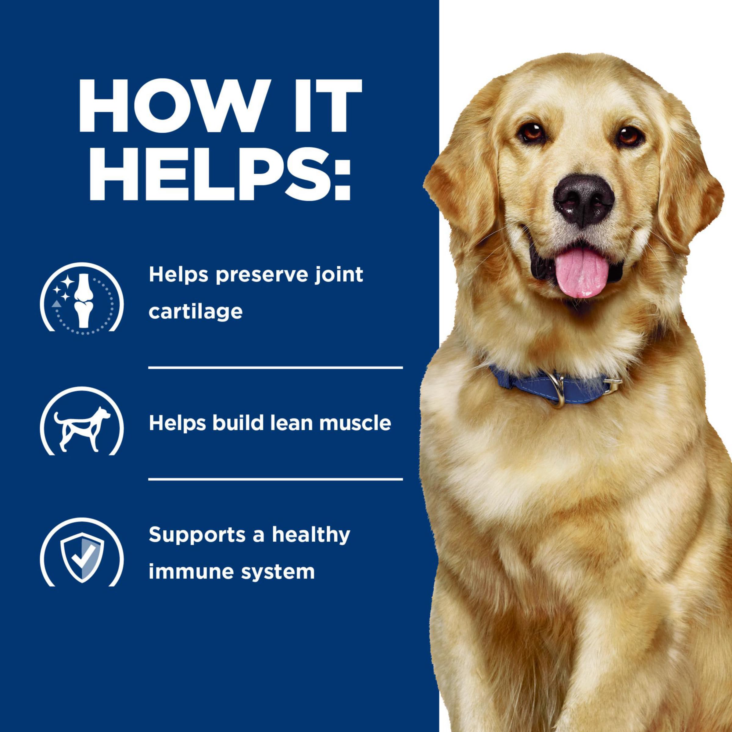 Hill's j/d Joint Care image signifying antioxidants for immune support