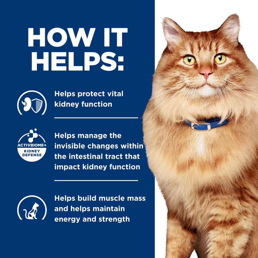 Cat in motion near Hill's Prescription Diet k/d + j/d packaging suggesting mobility support