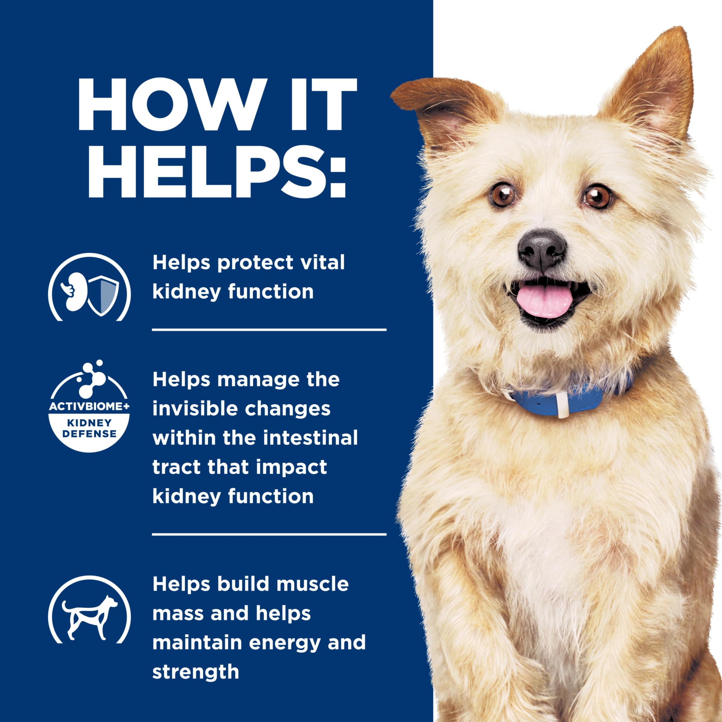 Veterinary diet label for Hill's k/d Kidney Care shown on a can