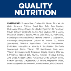 Kibble in a bowl during mealtime showcases flavorful, easy-to-serve dog food.