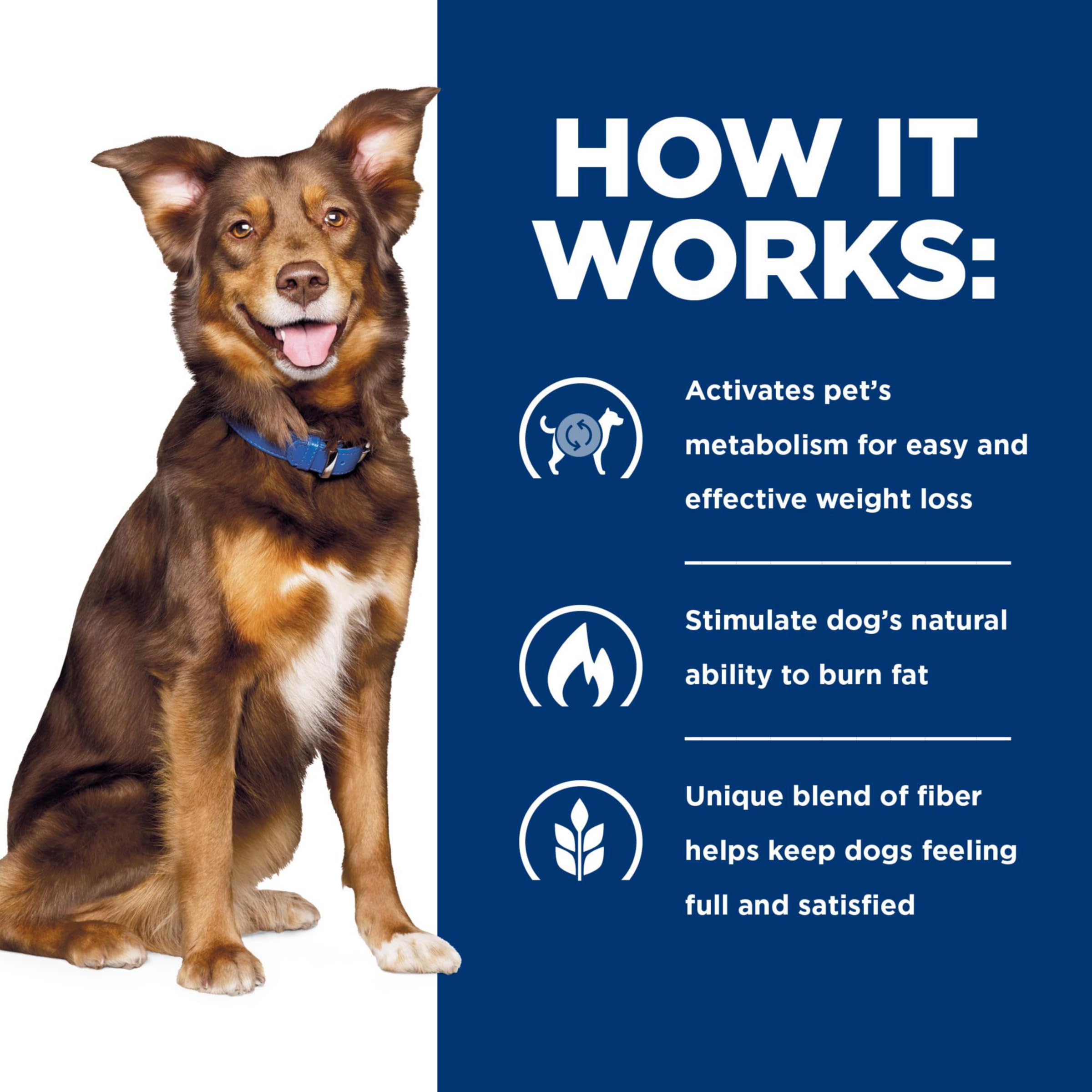 Hill's Prescription Diet Metabolic mealtime scene promoting healthy activity for dogs.