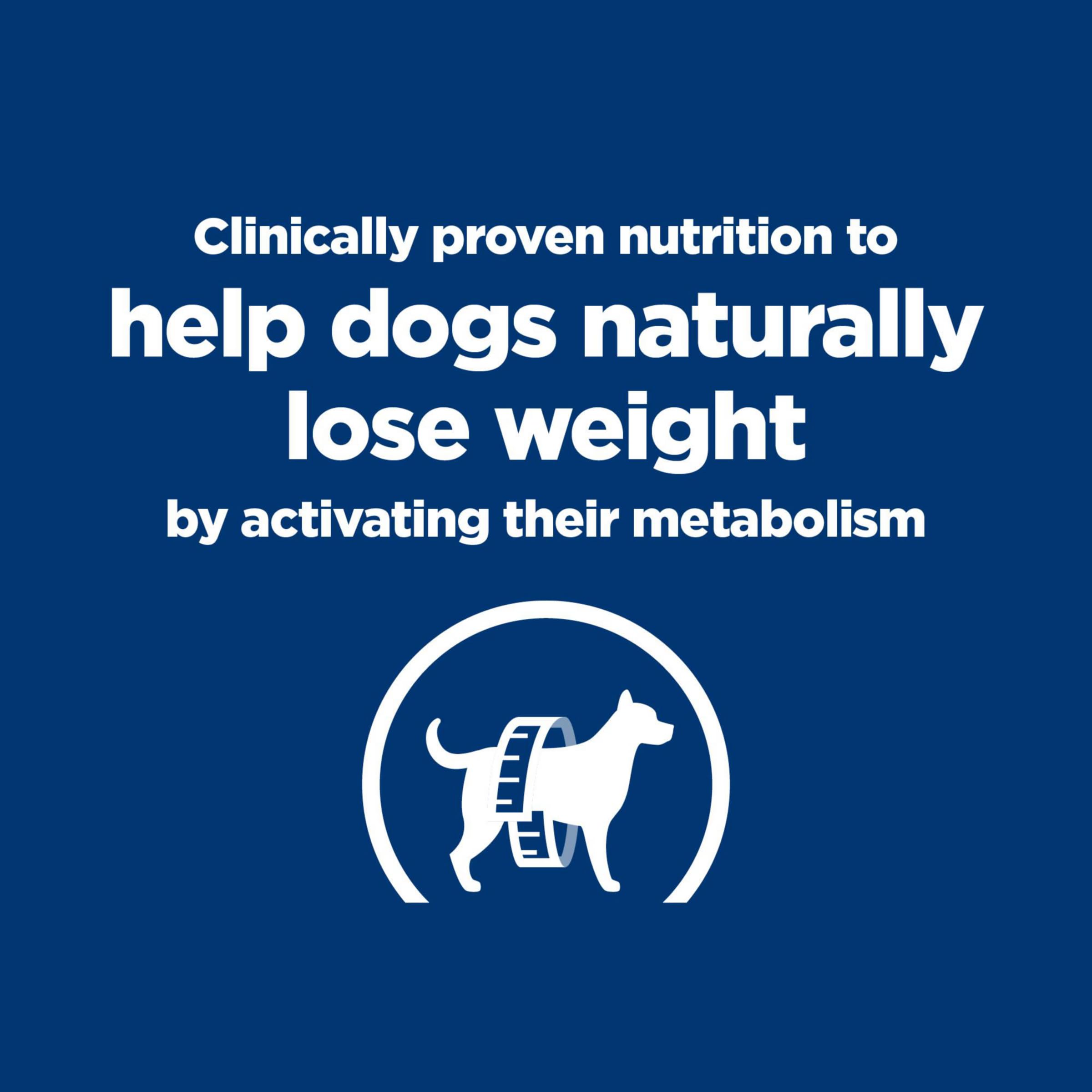 Hill's Prescription Diet Metabolic chicken closeup texture, appealing consistency
