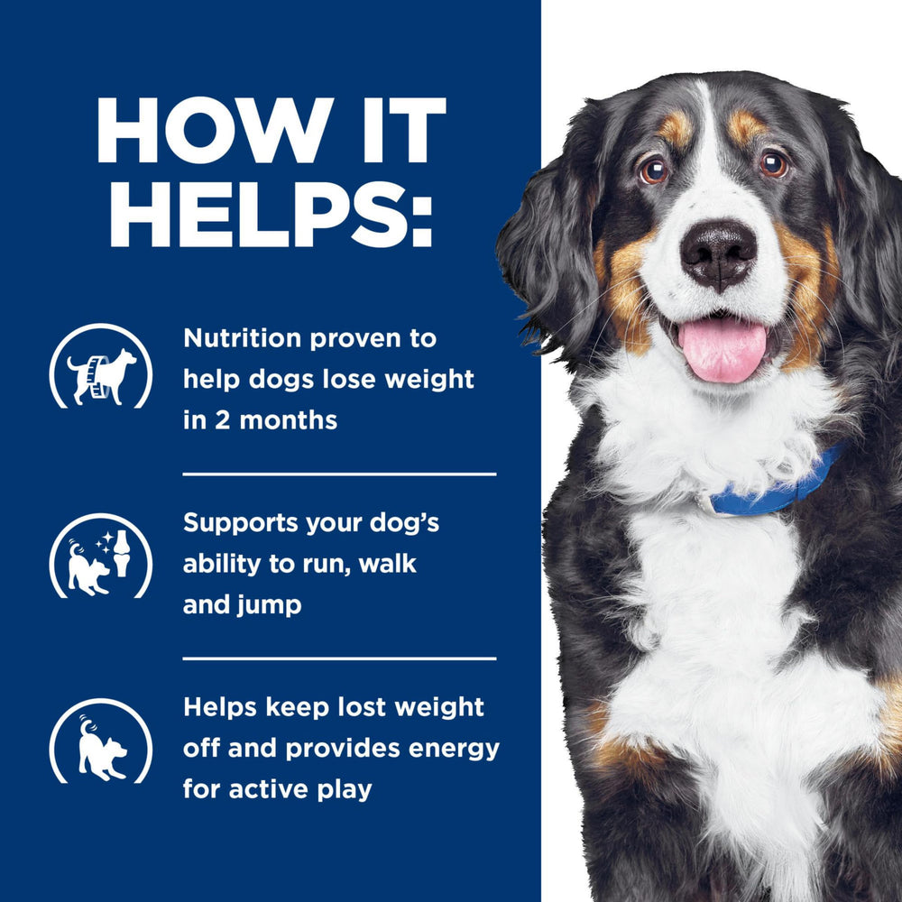 Hill's Metabolic mealtime setting suggests routine feeding for steady weight management