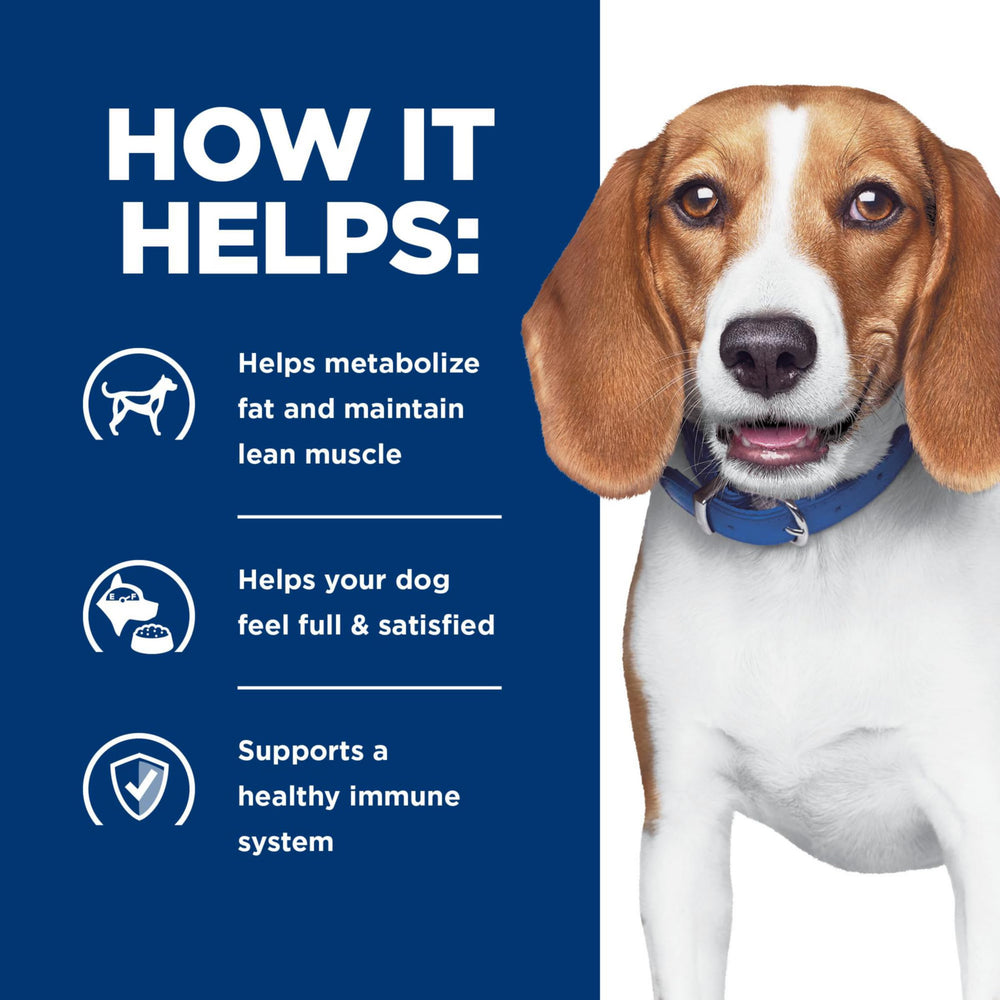 Hill's Prescription Diet r/d antioxidants icon signaling immune support