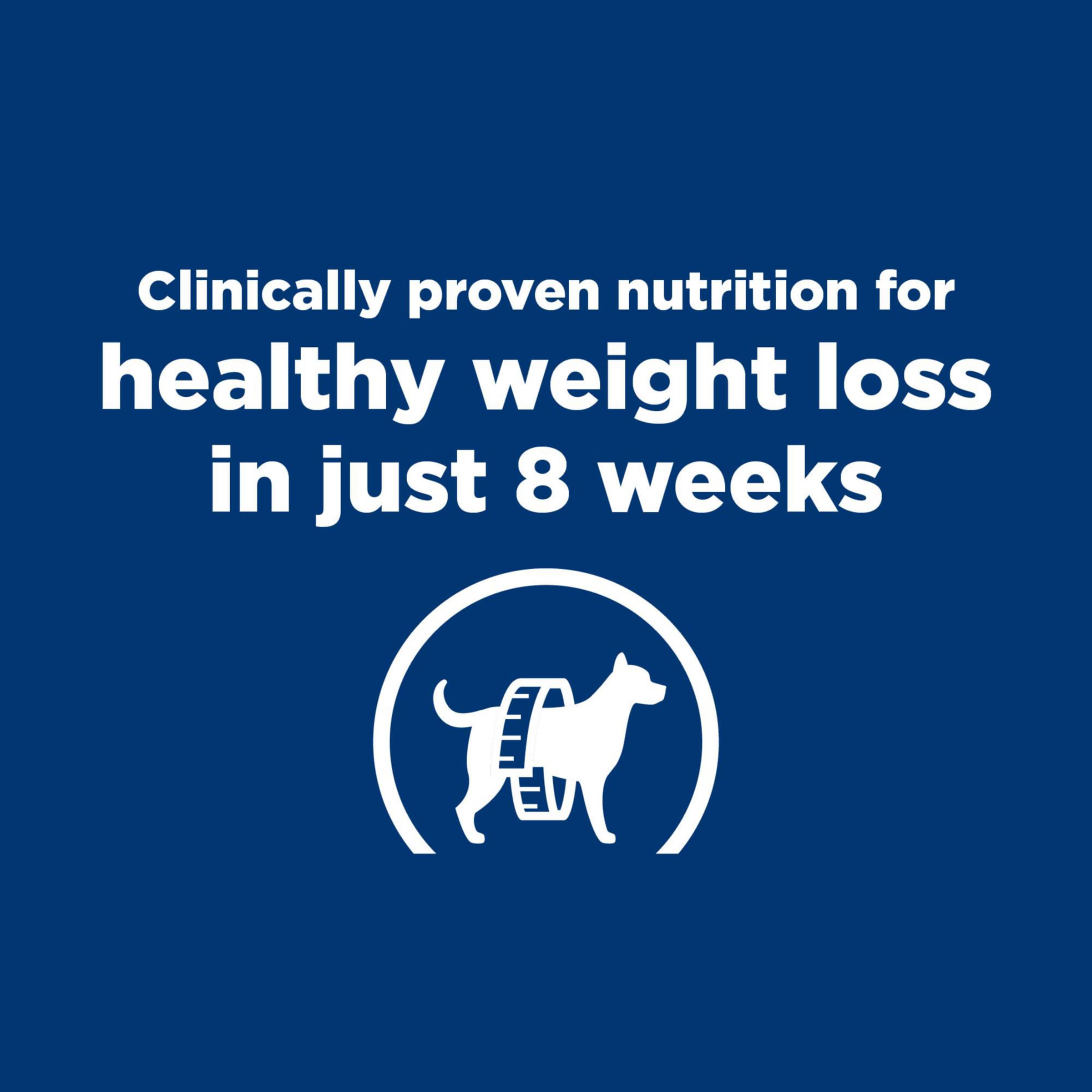 Hill's r/d chicken can close-up highlighting L-carnitine for fat metabolism