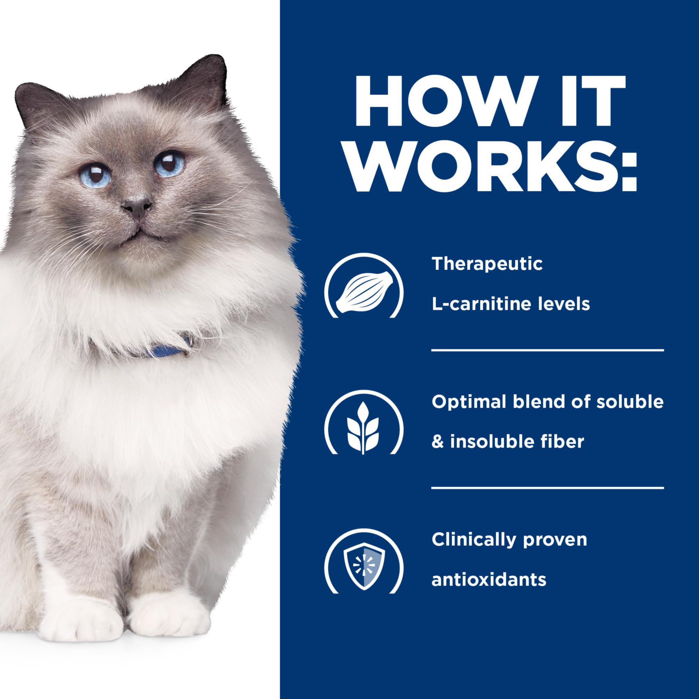 Hill's Prescription Diet r/d vet-formulated label; trusted guidance for weight control.