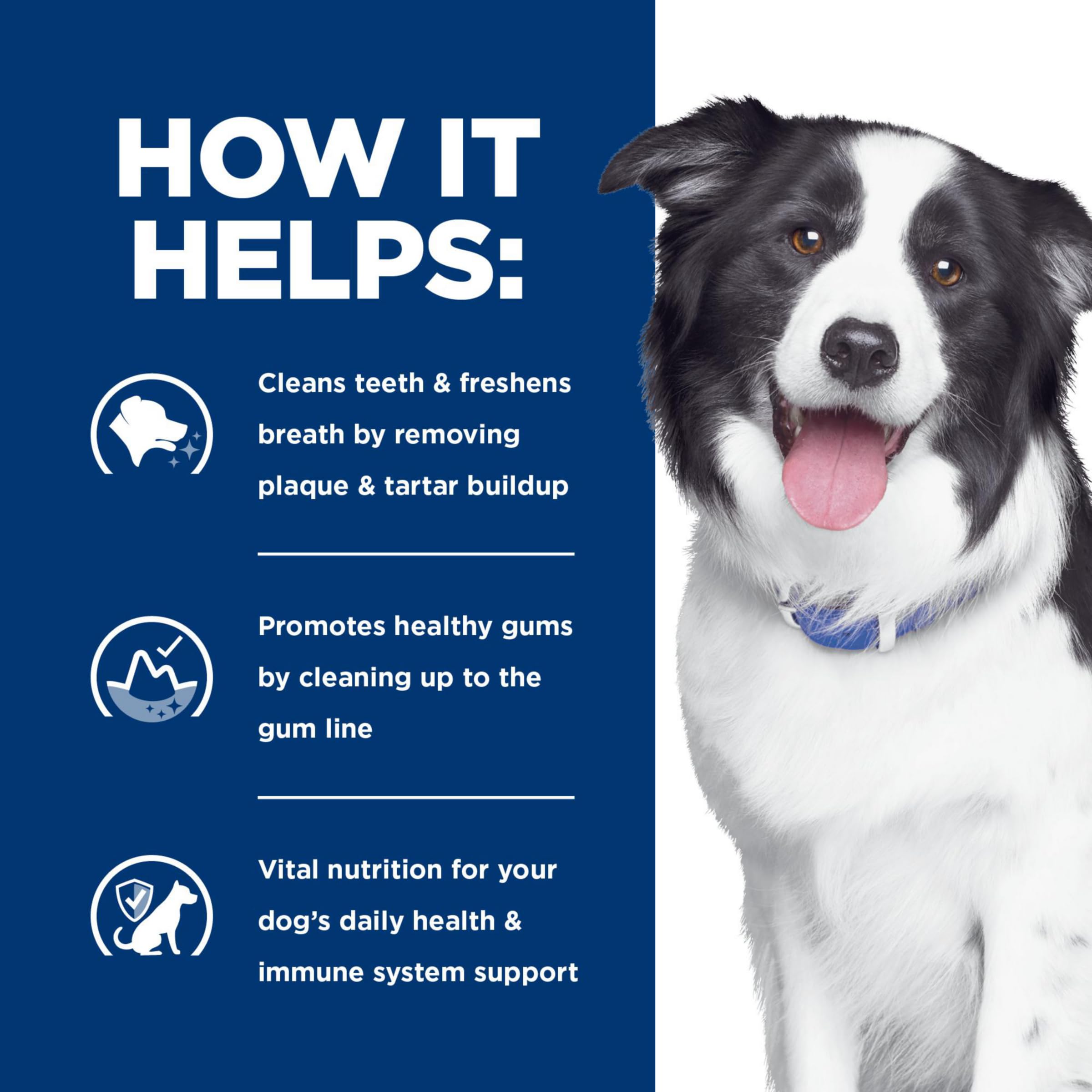 Hill's t/d dental care at a veterinarian clinic scene