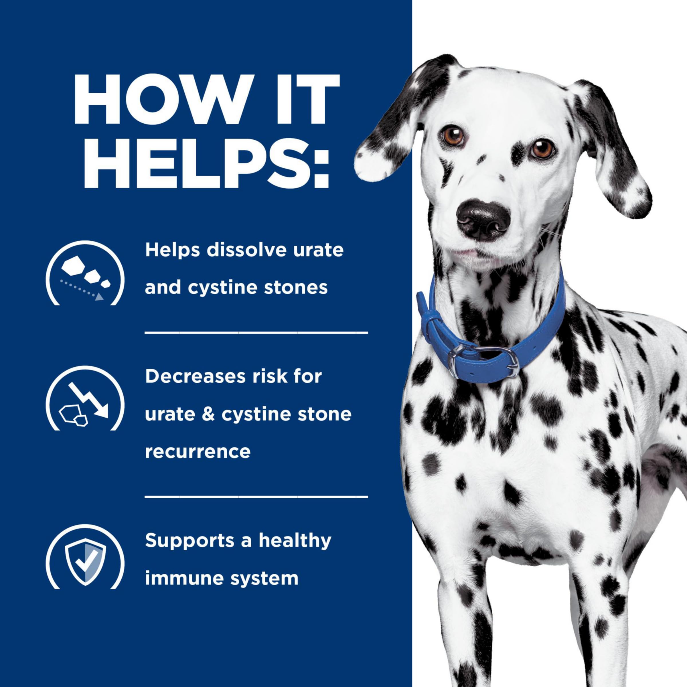 Hill's Prescription Diet u/d canine wet food can with balanced protein and purines
