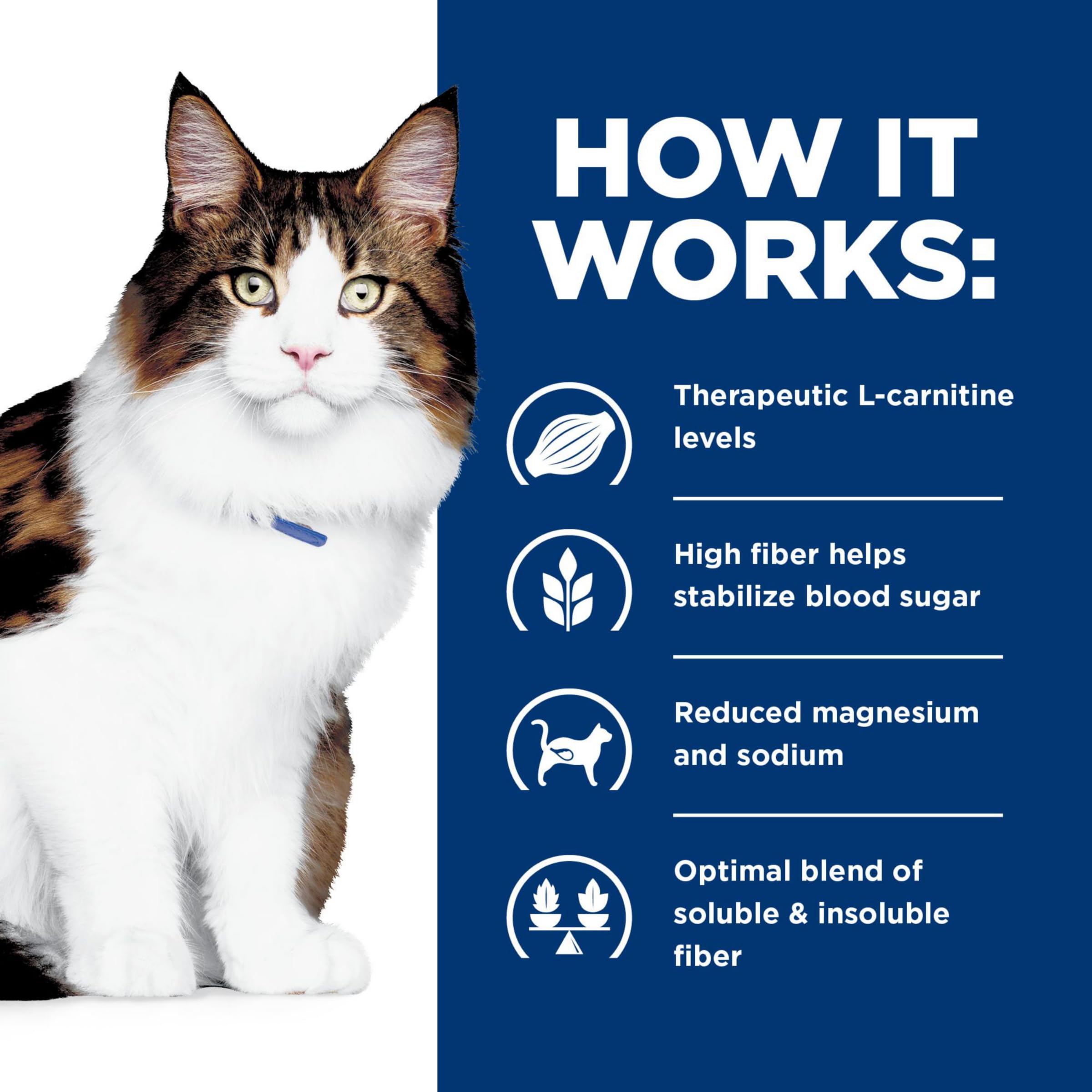 Cat calmly eating, illustrating easy integration into daily routine