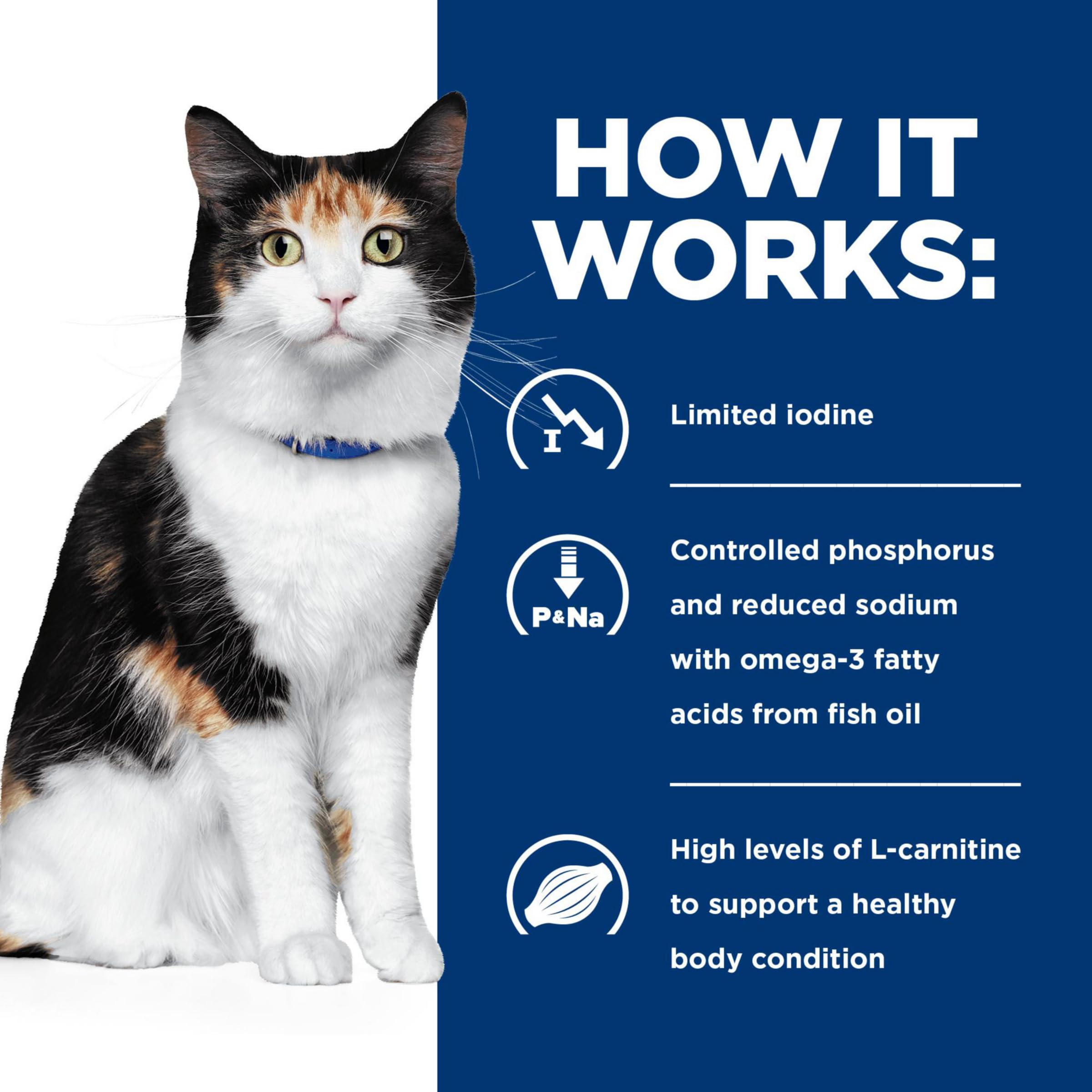 Hill's y/d supports thyroid care under veterinary guidance.